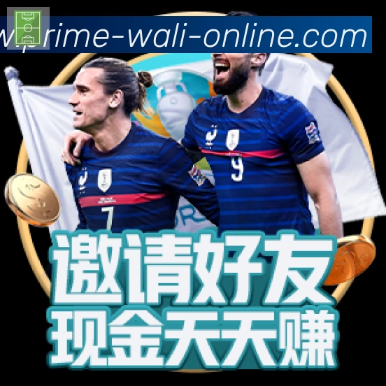 瓦力棋牌官网品牌故事