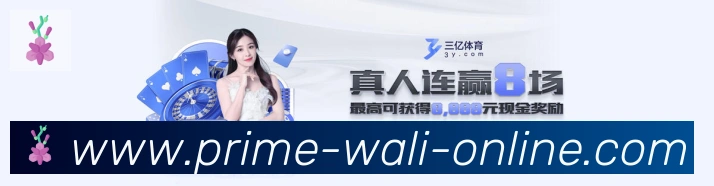 电竞直播专区